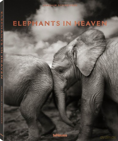 Elephants in Heaven - Joachim Schmeisser [KSIĄŻKA]