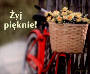 Żyj Pięknie Perełki [KSIĄŻKA]