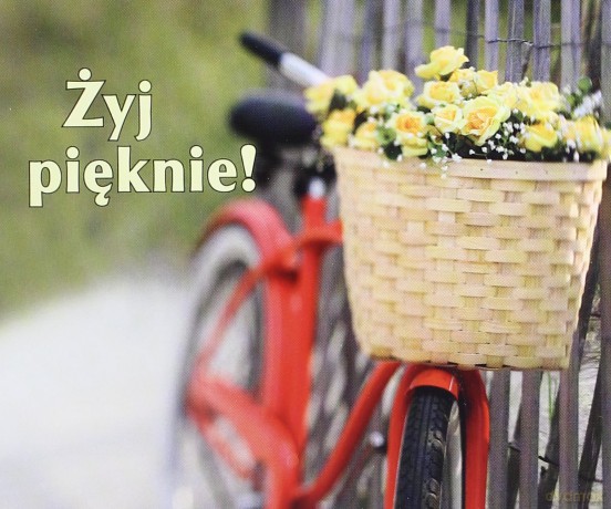 Żyj Pięknie Perełki [KSIĄŻKA]