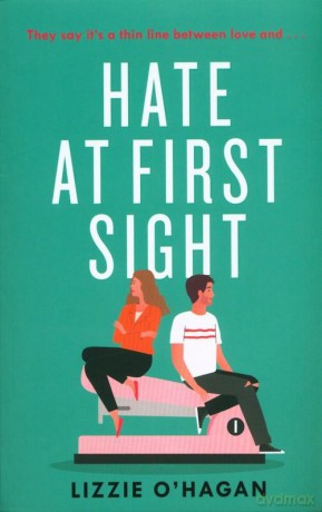 Hate at First Sight: The UNMIS [KSIĄŻKA]