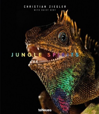 Jungle Spirits - Christian Ziegler, Daisy Dent [KSIĄŻKA]