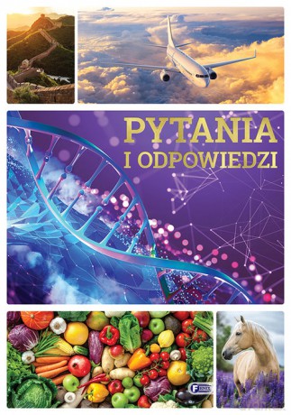 Pytania i odpowiedzi [KSIĄŻKA]