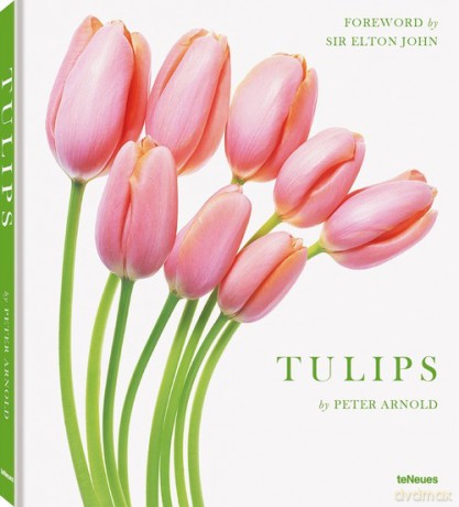 Tulips - Peter Arnold [KSIĄŻKA]