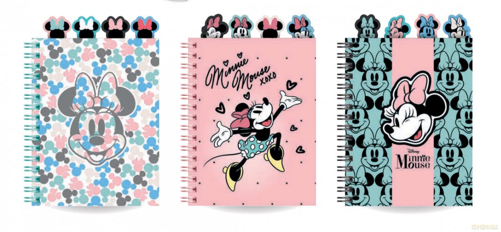 Kołobrulion A5 100k. kratka Disney fashion Minnie mouse. mix