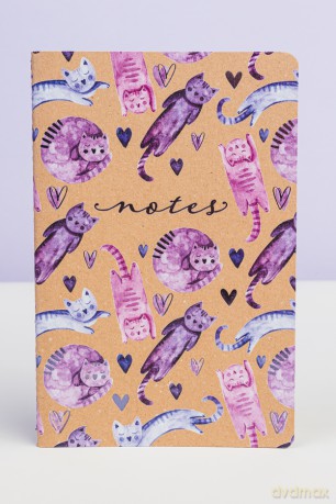 Notes Koty 02