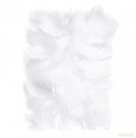 Piórka białe 5-12cm 10g