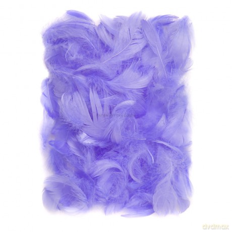 Piórka liliowe 5-12 cm 10g