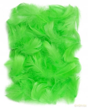 Piórka zielone 5-12cm 10g