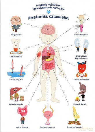 Plakat edukacyjny anatomia człowieka dla dziecka format A2