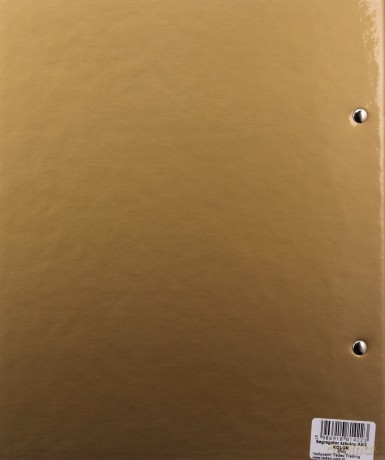 Segregator A5/2R Penmate złoty