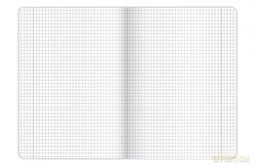 ZESZYT OXFORD ESSE A5 80K 90G K5X5M kratka z marginesem PAKIET 5 SZTUK
