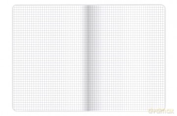 ZESZYT OXFORD KIDS A5 16K 90G K5X5 kratka PAKIET 10 SZTUK