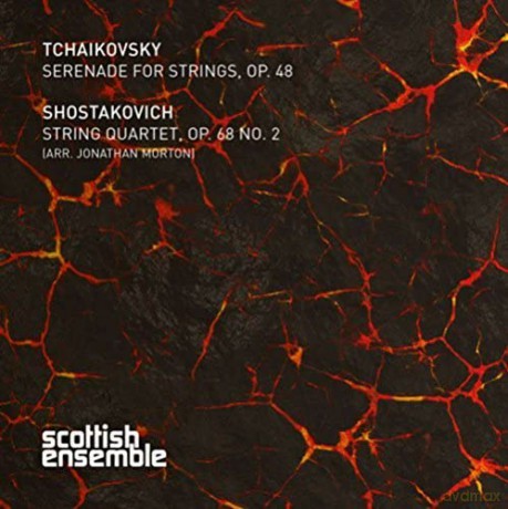 Tchaikovsky: Serenade: Scottish Ensemble - Jonathan Morton [CD]