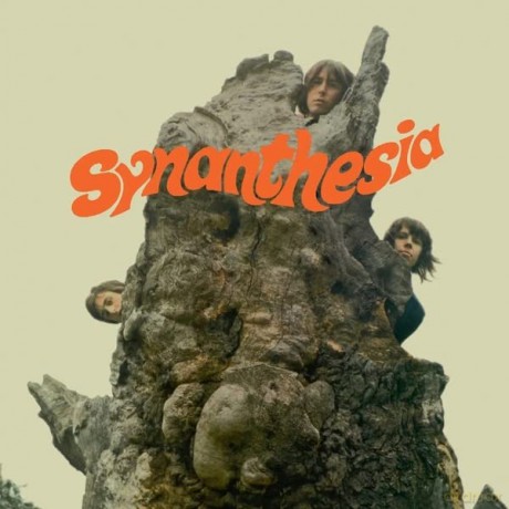 Synanthesia: Synasthesia [Winyl]