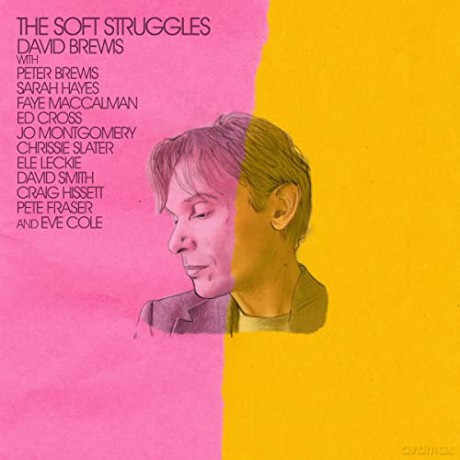 David Brewis: The Soft Struggles [CD]