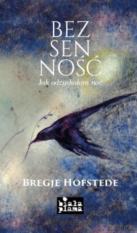 Bezsenność - Bregje Hofstede [KSIĄŻKA]