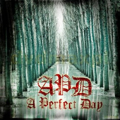 A Perfect Day: A Perfect Day [CD]