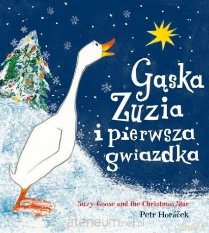 Gąska Zuzia i pierwsza gwiazdka - Petr Horacek [KSIĄŻKA]