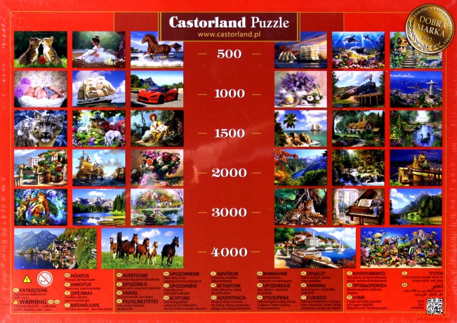 CASTOR 500 Domek w kwiatach B-51717-2 [PUZZLE]