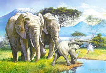 CASTOR 120 el. Słonie [PUZZLE]