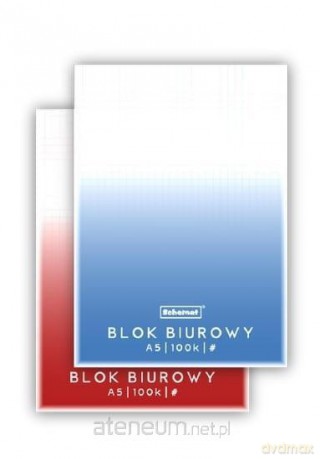Blok biurowy A5/100K kratka (5 szt)
