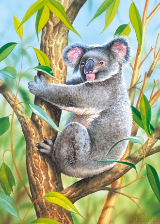 Castor 120 Koala B-12510 [PUZZLE]