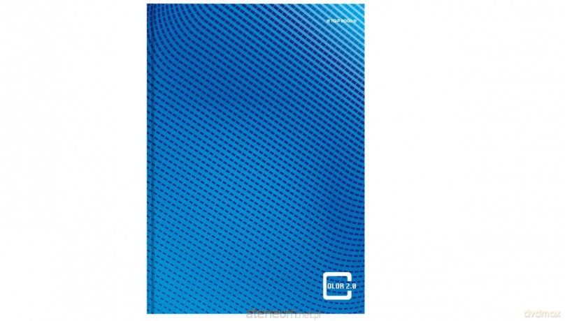 Brulion A4/304K kratka Color 2.0 (3 szt)