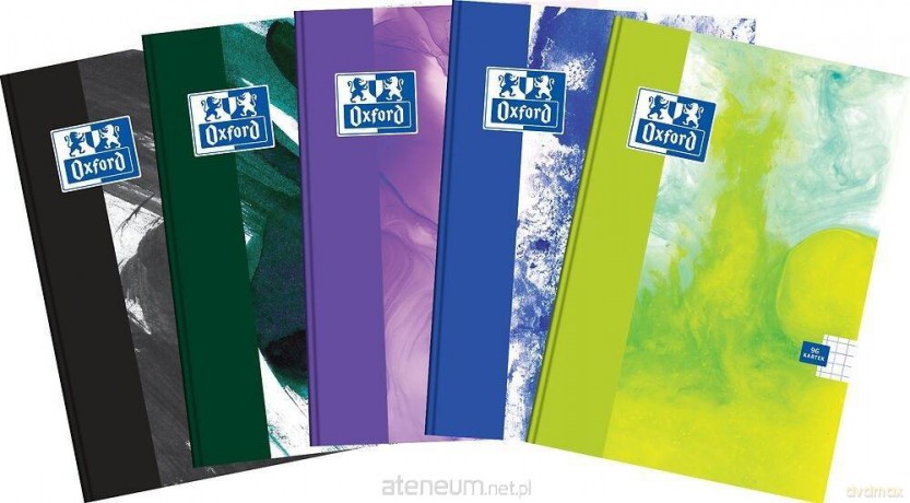 Brulion A5/96K kratka Paint (5 szt)