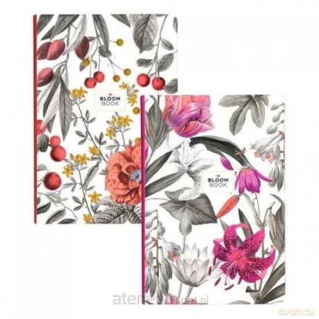 Brulion B5/80K linia Bloom book