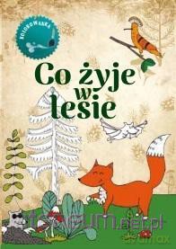 Co żyje w lesie Kolorowanka [KSIĄŻKA]