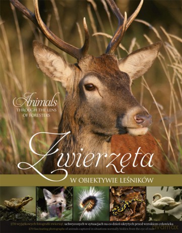 Zwierzęta w obiektywie leśników [KSIĄŻKA]