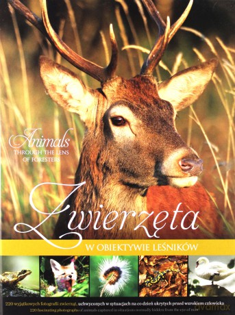 Zwierzęta w obiektywie leśników [KSIĄŻKA]