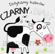 Dotykamy kolorów. Czarny i biały [KSIĄŻKA]