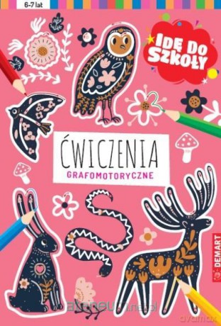 Idę do szkoły. Ćwiczenia grafomotoryczne [KSIĄŻKA]