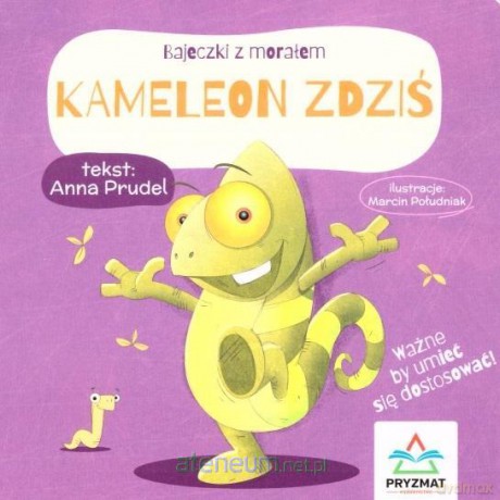 Kameleon Zdziś [KSIĄŻKA]