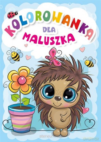 Kolorowanka dla maluszka [KSIĄŻKA]