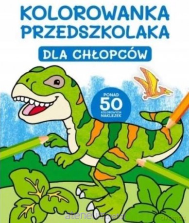 Kolorowanka przedszkolaka. Dla chłopców [KSIĄŻKA]