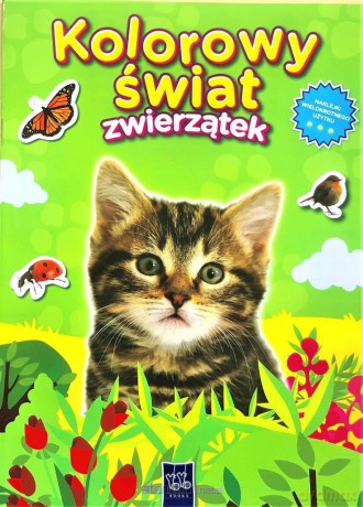 Kolorowy świat zwierzątek. Kotek [KSIĄŻKA]