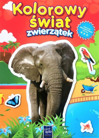 Kolorowy świat zwierzątek. Słoń [KSIĄŻKA]