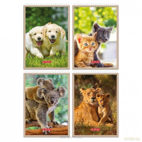 Kołonotatnik A7/40K kratka Animals (20 szt)