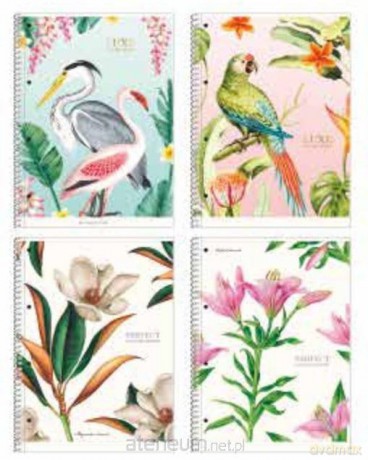 Kołozeszyt A4/80K linia Nature motifs