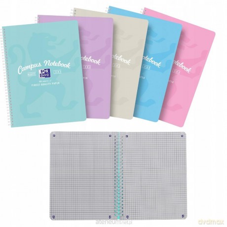 Kołozeszyt B5+/80K kratka Campus Pastel (5 szt)