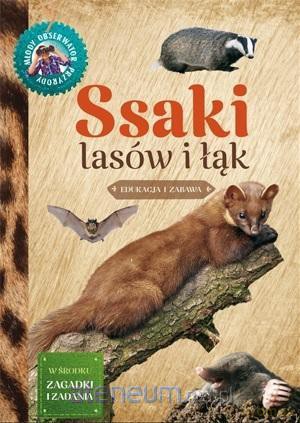 Młody Obserwator Przyrody - Ssaki lasów i łąk [KSIĄŻKA]