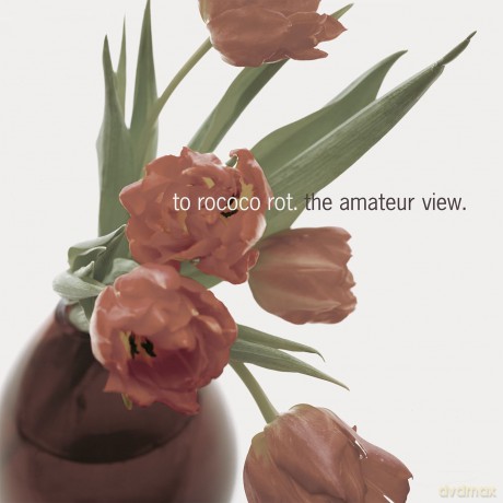 To Rococo Rot: The Amateur View [WINYL]