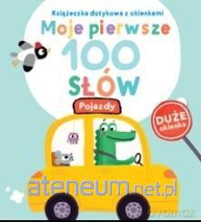 Moje pierwsze 100 słów. Pojazdy [KSIĄŻKA]