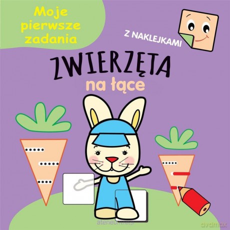 Moje pierwsze zadania. Zwierzęta na łące [KSIĄŻKA]