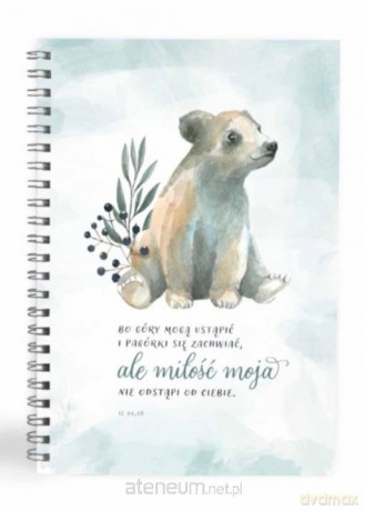 Mój dziennik - Bo góry mogą ustąpić - misio