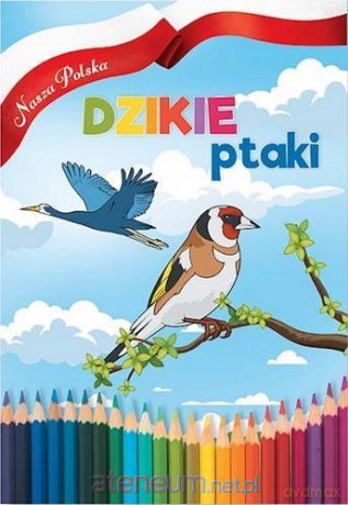 Nasza Polska. Dzikie Ptaki [KSIĄŻKA]