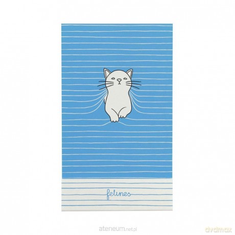 Notes - Purrrfect Place - Bold Blue