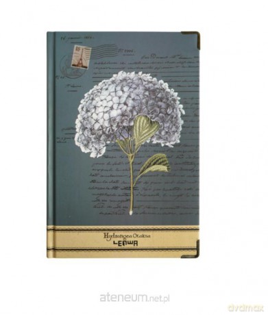 Notes A5/96K linia Hortensja